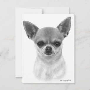 Cartão Postal Arte Desenhada à Mão de Chihuahua Retrato de Anima