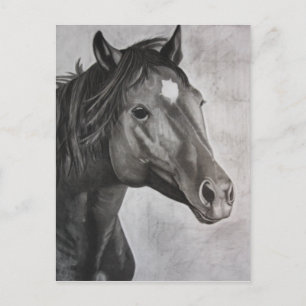 Cartão Postal Arte Desenhada à Mão do Cavalo