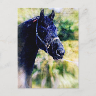 Cartão Postal Arte digital Black Horse