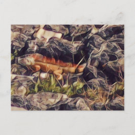 Cartão Postal Arte do Guana Laranja