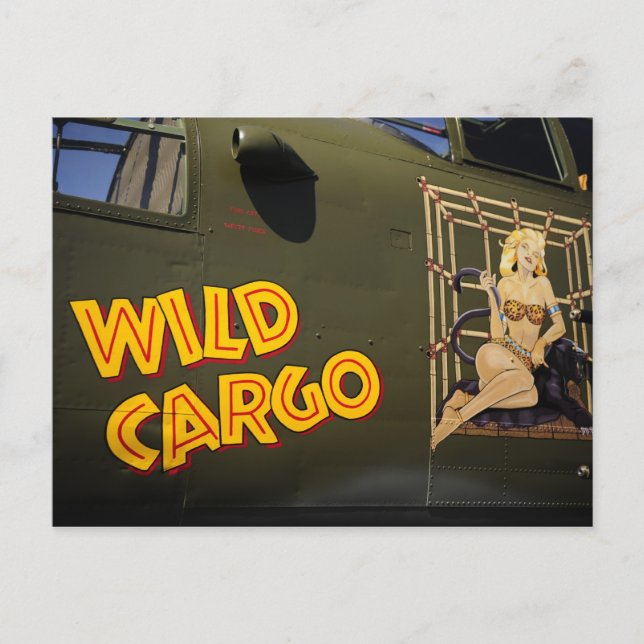 Cartão Postal Arte do Nariz WII (Frente)