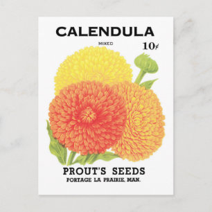 Cartão Postal Arte do Rótulo do Pacote de Sementes da Vintage, 