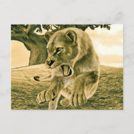 Cartão Postal Arte Dramática de Leoa em Safari de Vida Selvagem