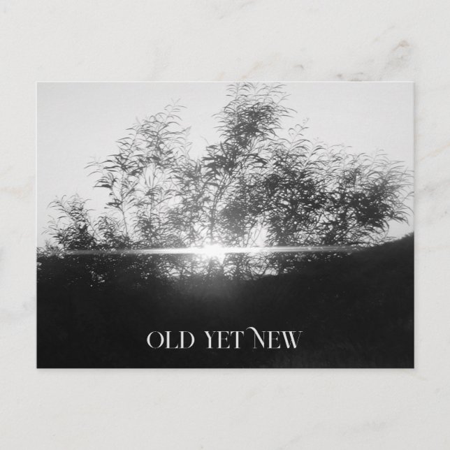 CARTÃO POSTAL ARTE E DESIGN DA PLACA DE POSTO (Frente)