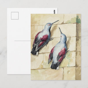 Cartão Postal Arte em Aquarela de Pássaro Vermelho e Cinza Antig