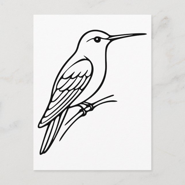 Cartão Postal Arte em Linha Hummingbird - Ilustração de Aves (Frente)