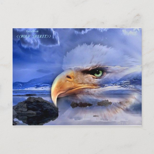 CARTÃO POSTAL ARTE ESPIRITUOSA NATIVA AMERICANA / WOLF (Frente)