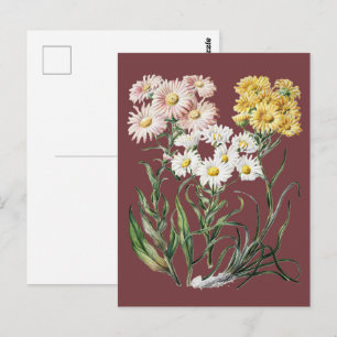 Cartão Postal Arte Floral Botânica de Flores Silvestres Colorida
