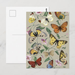Cartão Postal Arte Floral Botânica de Mariposa Borboleta Vintage