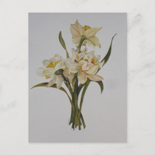 Cartão Postal Arte Floral de Buquê Duplo Narcissi