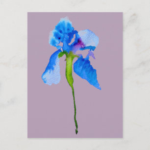 Cartão Postal Arte floral floral moderna Iris