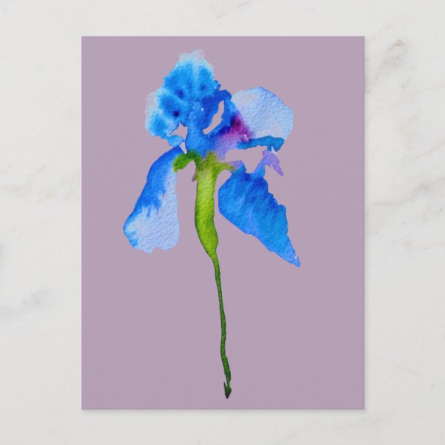 Cartão Postal Arte floral floral moderna Iris (Frente)
