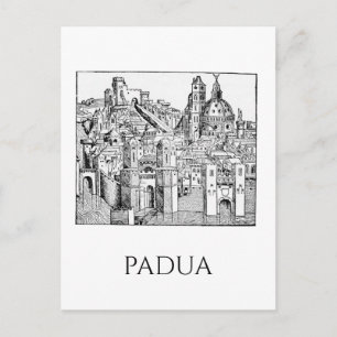 Cartão Postal Arte Linear Minimalista da Silhueta Medieval de Pá