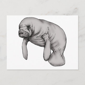 Cartão Postal arte manateada