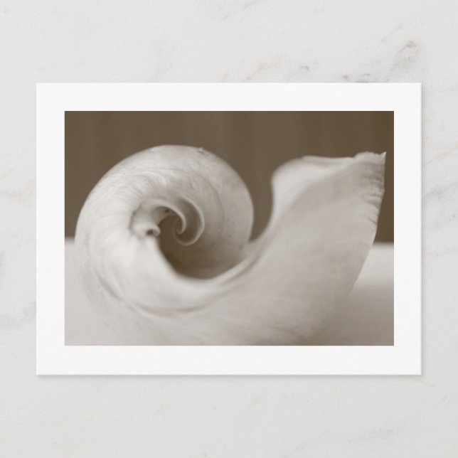 Cartão Postal Arte Moderna (Frente)