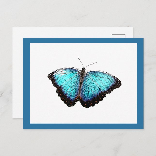 Cartão Postal Arte natural da borboleta azul, ilustração fotográ (Frente/Verso)