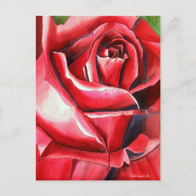 Cartão Postal arte original aquarela de rosa vermelha Crimson ma (Frente)