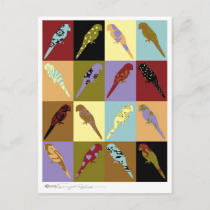 Cartão Postal Arte: papagaio Quilt design presentes