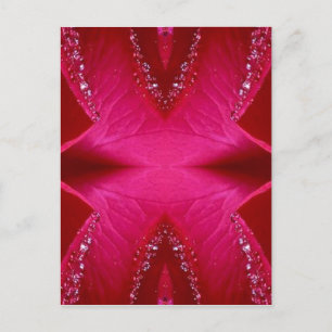 Cartão Postal Arte Petal Pura Rosa - Vermelho Sanguíneo a Rosa R
