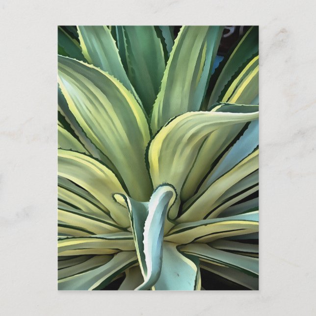 Cartão Postal Arte Realista Agave Tropical (Frente)