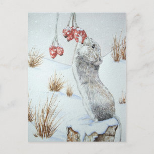 Cartão Postal Arte selvagem do rato e da neve vermelha
