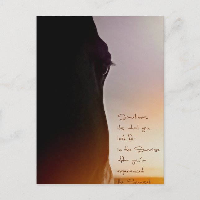 Cartão Postal Arte sobre cavalos e citação inspiradora (Frente)