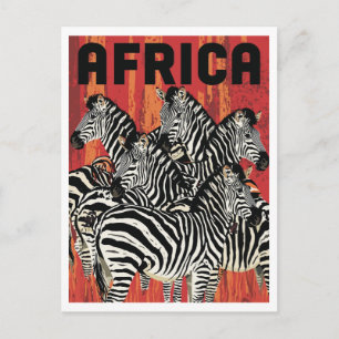 Cartão Postal Arte Vintage Safari Zebra Africano