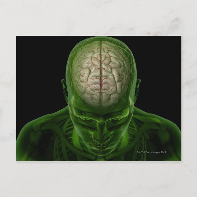 Cartão Postal Artérias Cerebrais (Frente)