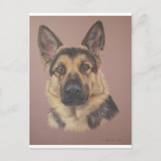 Cartão Postal Arthur - German shepherd
