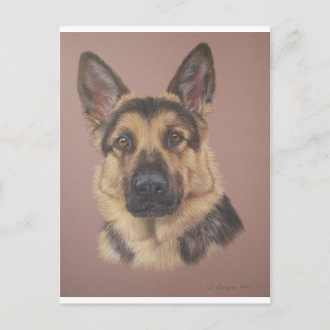 Cartão Postal Arthur - German shepherd (Frente)