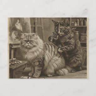 Cartão Postal Artista de Tatuagem de Gato Sepia Vintage – Vitori