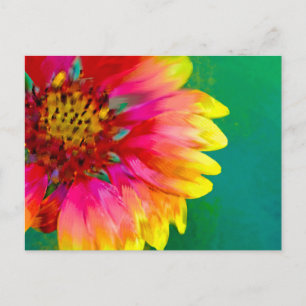 Cartão Postal Artistic rendition of Indian Blanket flower