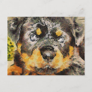 Cartão Postal Artístico Rottweiler Puppy Retrato