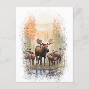 Cartão Postal *~* Artsy AP49 MOOSE HERD Forest STREAM