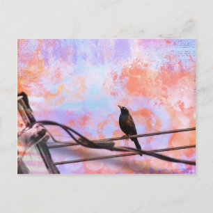 Cartão Postal Artsy Grackle