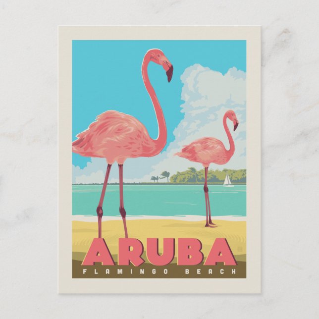 Cartão Postal Aruba | Flamingo Beach (Frente)