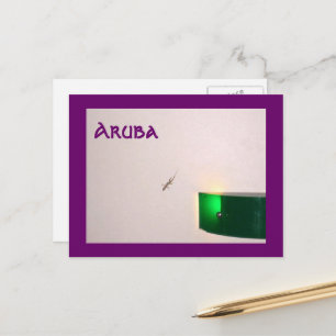 Cartão Postal Aruba Gecko