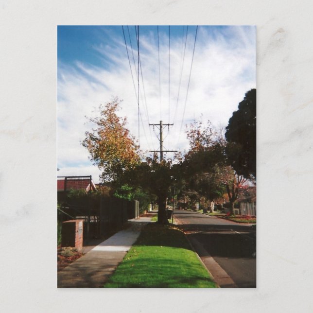 Cartão Postal árvore (Frente)