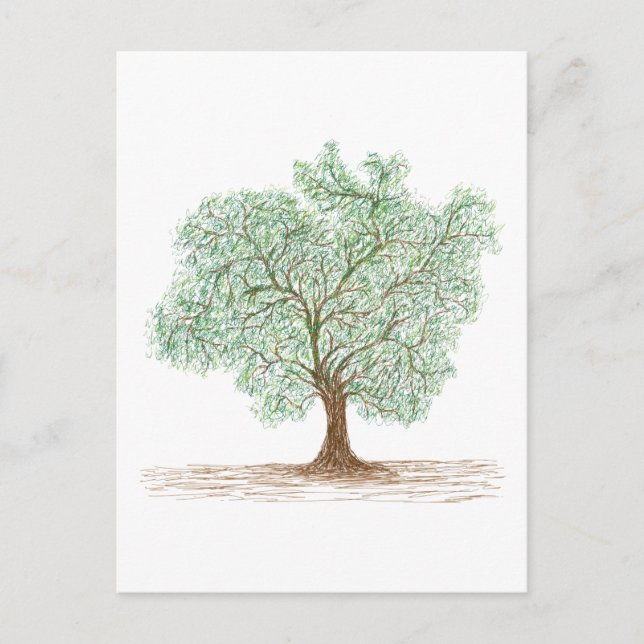 Cartão Postal árvore (Frente)