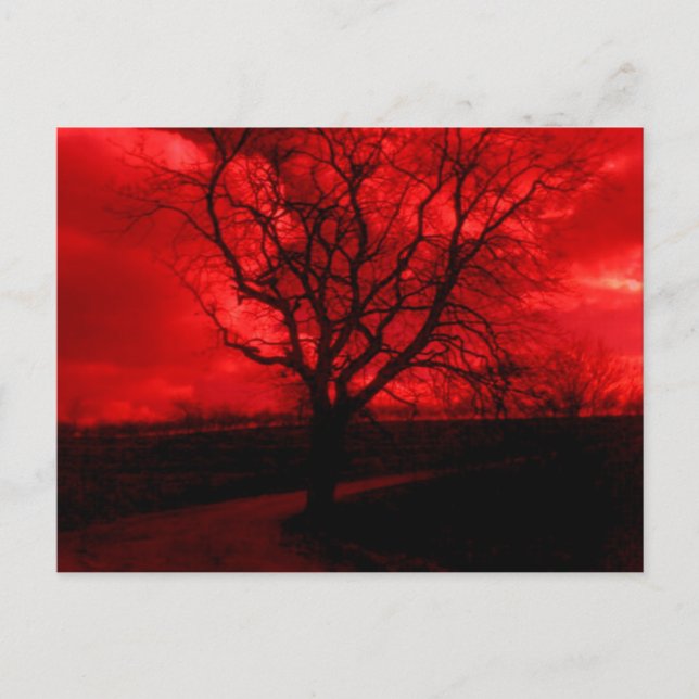 Cartão Postal Árvore abstrato (Frente)