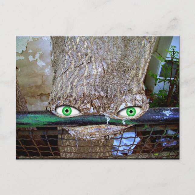 Cartão Postal árvore alienígena (Frente)