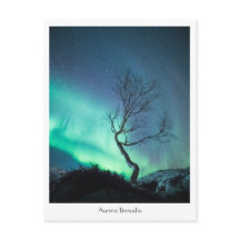 Árvore Aurora Borealis