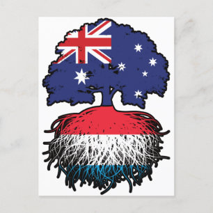 Cartão Postal Árvore australiana luxemburguesa