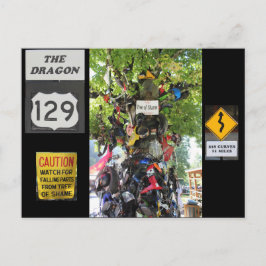 Cartão Postal Árvore da Vergonha