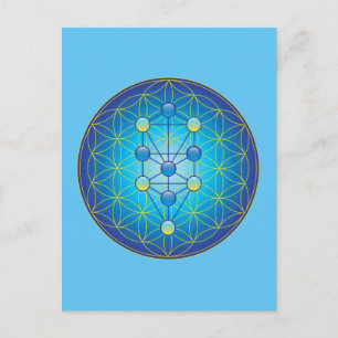 Cartão Postal Árvore Da Vida