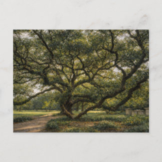 Cartão Postal Árvore da Vida do Sul | Arte de Carvalho Vivo | Ca