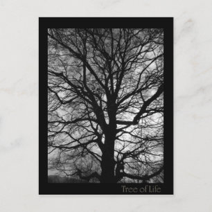 Cartão Postal Árvore da Vida - Lebensbaum - Baum des Lebens