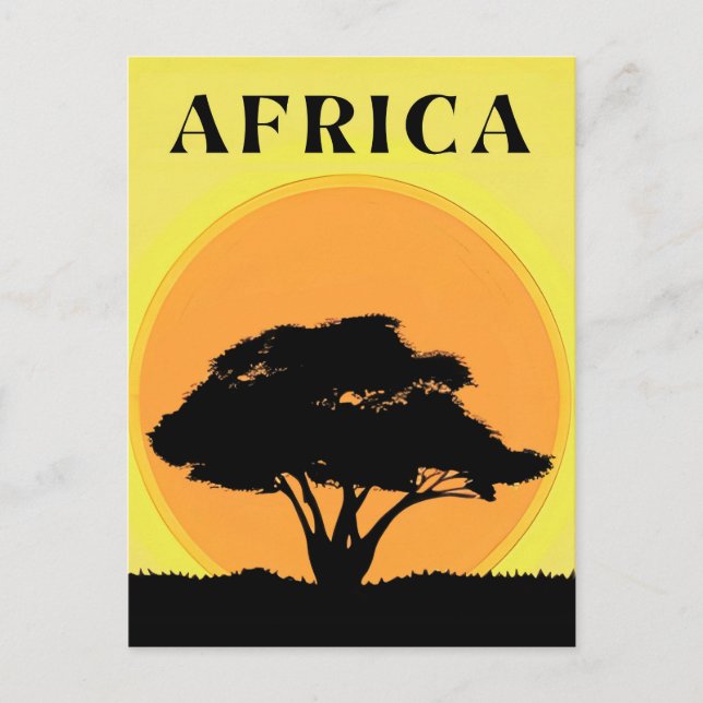 Cartão Postal Árvore de Acácia Africana Contra um Pôr do Sol Lar (Frente)