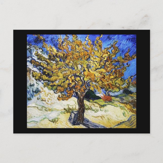 Cartão Postal Árvore de amora (Frente)