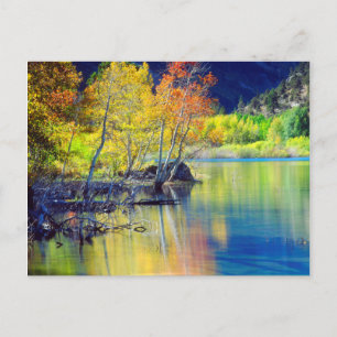 Cartão Postal Árvore de Aspen no outono refletindo no Lago Grant